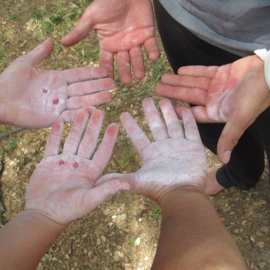 13442158_10207831900128683_4595855604123055655_n