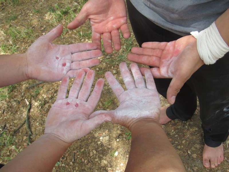 13442158_10207831900128683_4595855604123055655_n